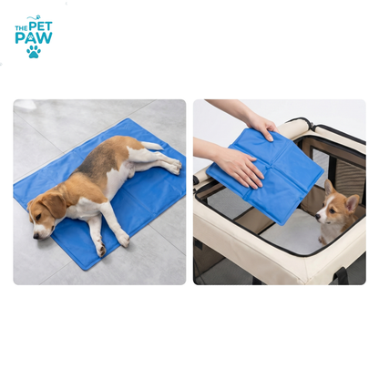 PetPaw Evcil Hayvan Soğutucu Jel Mat (Kedi ve Köpek İçin)