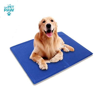 PetPaw Evcil Hayvan Soğutucu Jel Mat (Kedi ve Köpek İçin)